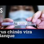 Oportunistas exploram 100 mil mortes ligadas ao coronavírus
