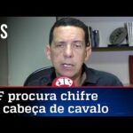 José Maria Trindade: Carlos Bolsonaro não atua no submundo, ele dá a cara a tapa