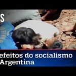 Argentinos famintos desenterram carne estragada para comer