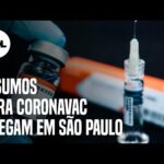 Coronavac: Lote com insumos para produção da vacina chega em São Paulo
