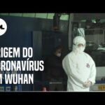 Relatório da OMS descarta surgimento do coronavírus em laboratório na China