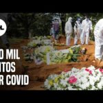 Covid 19  Brasil registra mais de 390 mil mortes por covid 19
