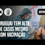 Por que o Uruguai tem alta de casos e mortes mesmo com vacinação avançada | Diogo Schelp