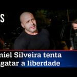 Daniel Silveira paga fiança e pede revogação da prisão