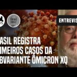 Nova variante da covid: Brasil registra casos da ômicron XQ; 'Não produzirá doença pior', diz médico