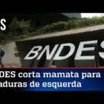 Sem dinheiro para ditaduras, lucro do BNDES dispara em 2022