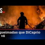 Sob o silêncio de DiCaprio, Europa tem recorde de queimadas em 2022