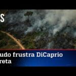 Levantamento mostra que governo Lula foi o recordista em queimadas na Amazônia