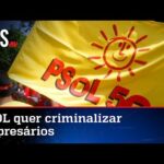 Deputados do PSOL pedem a Moraes investigação de empresários; Hang desmonta narrativa