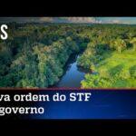 STF manda governo reativar Fundo Amazônia em 60 dias