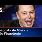 Musk promete analisar casos de brasileiros banidos do Twitter