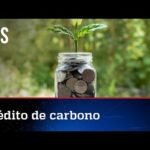 Bolsonaro edita medida sobre gestão de florestas públicas