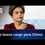 Haddad negocia cargo para Dilma Rousseff em banco do BRICS