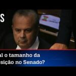 Debate: votação de Rogério Marinho assusta governo federal?