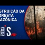 Com Lula, triplica desmatamento na Amazônia em março