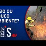 Primeiro semestre do novo mandato de Lula é marcado pelo aumento do desmatamento e queimadas