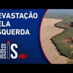 Alertas de desmatamento batem recorde no Cerrado em 2023