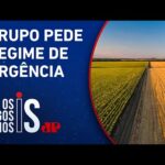 Agronegócio reage a STF contra desapropriação de terras